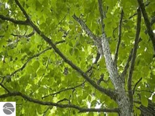 Buckaroo Trail, Petoskey, MI 49770