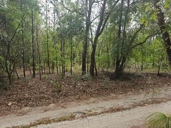 00 SW 90 STREET , DUNNELLON, FL 34432