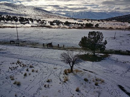 3048 Robison Road, Gardnerville, NV 89410 Photo