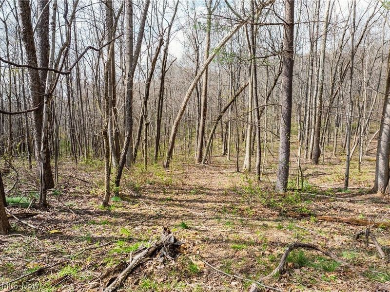 Township Rd 389 , Frazeysburg, OH 43822 Photo 4