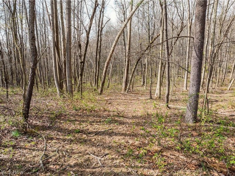 Township Rd 389 , Frazeysburg, OH 43822 Photo 5