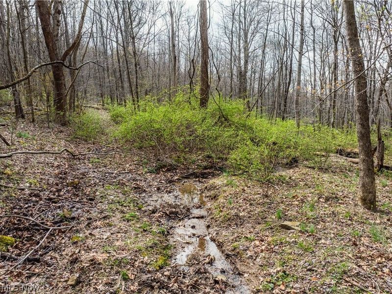 Township Rd 389 , Frazeysburg, OH 43822 Photo 6