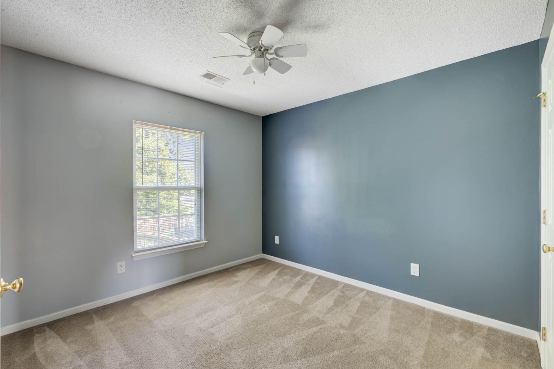 222 Maypop Drive Photo 12