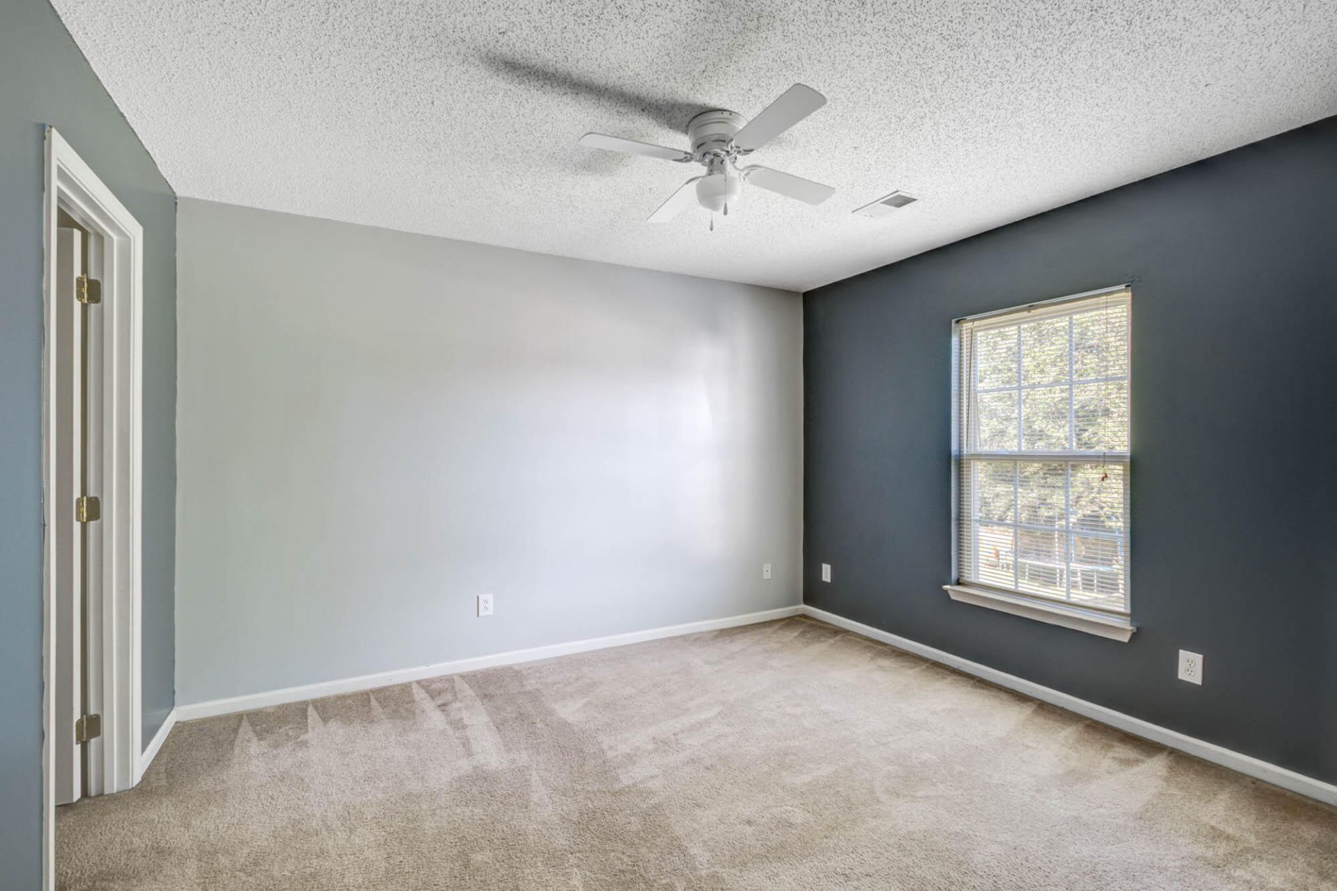 222 Maypop Drive Photo 13