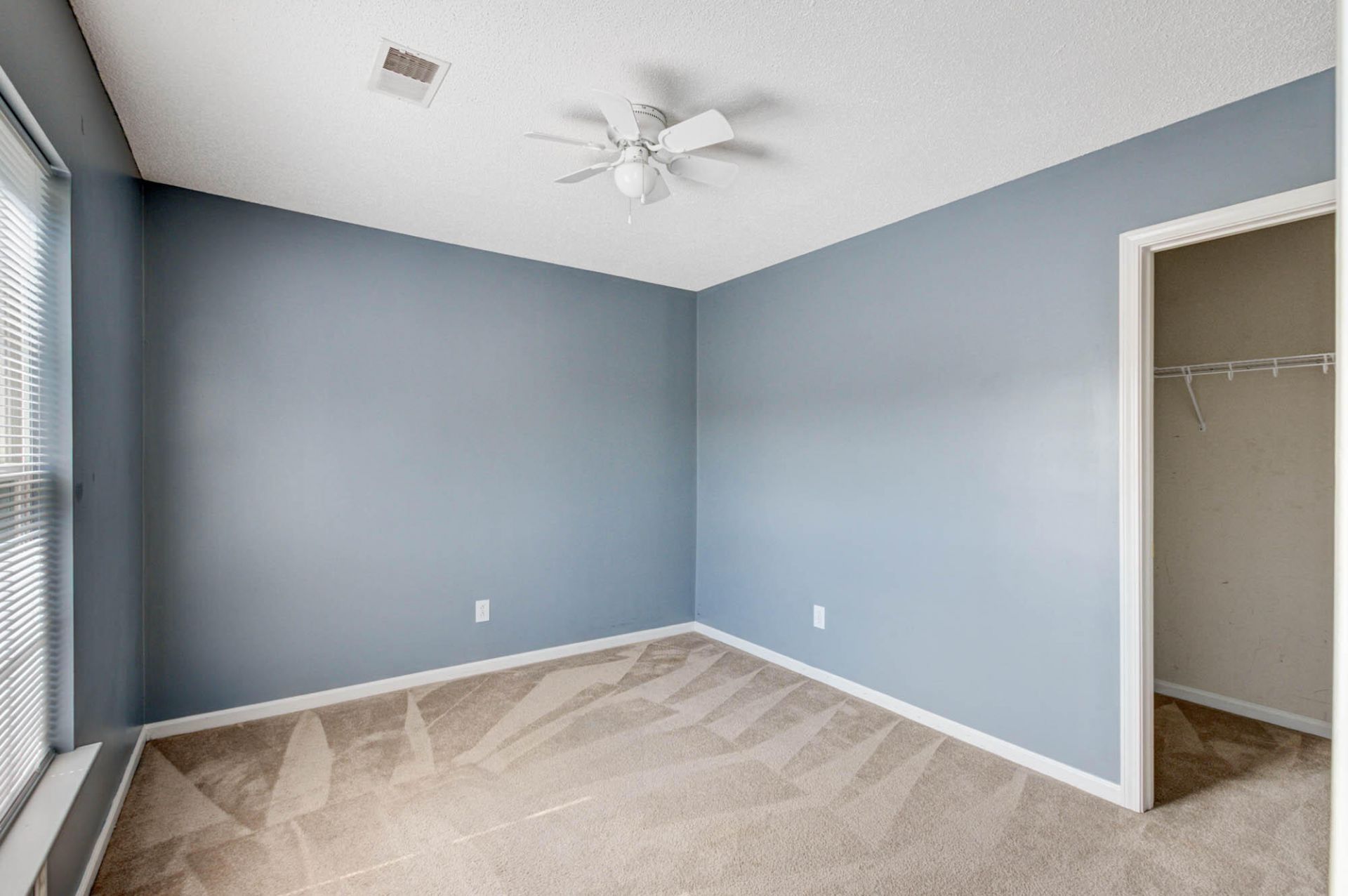 222 Maypop Drive Photo 9