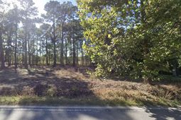 767 Orangeburg Road photo 4