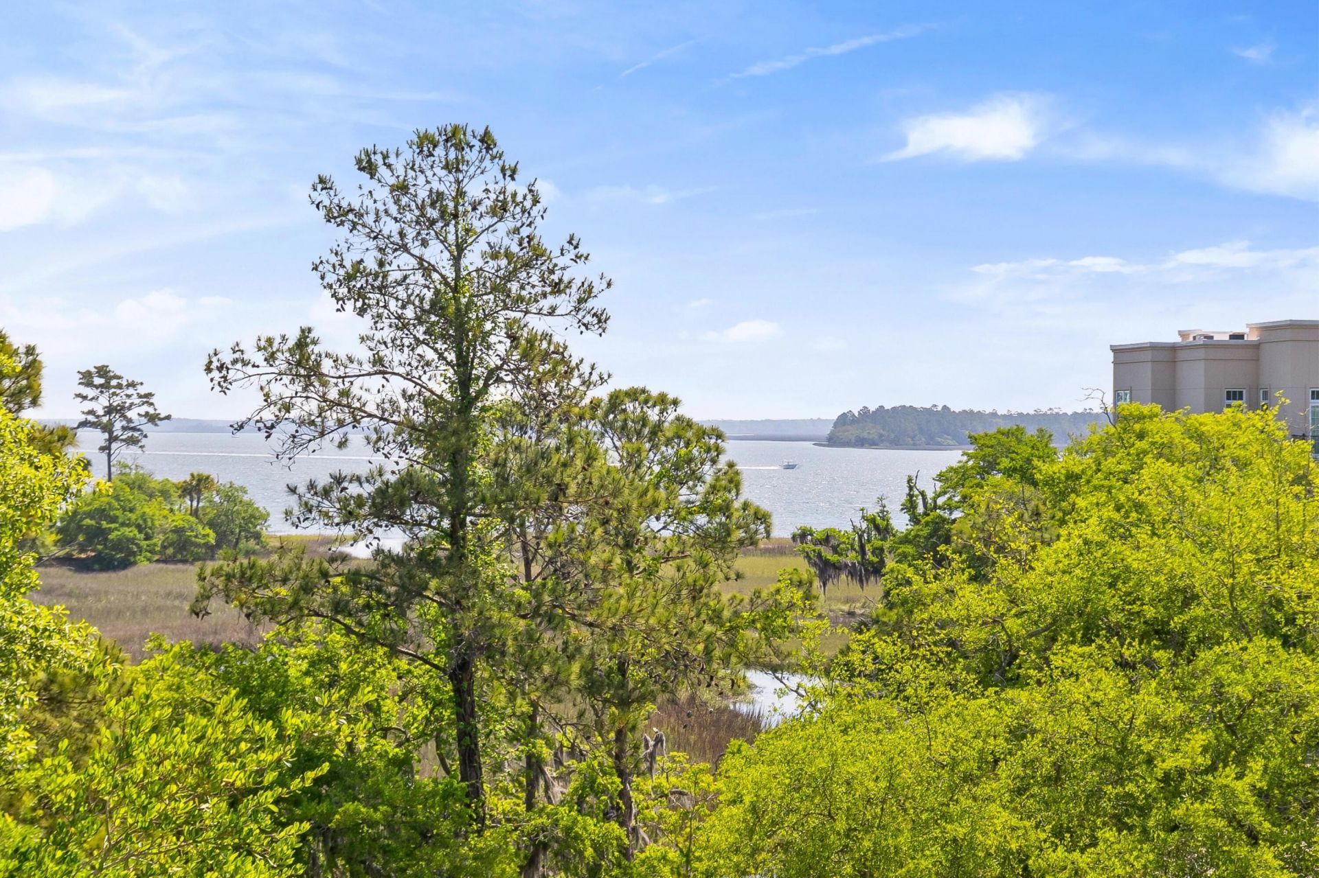 136 Fairbanks Oak Alley Photo 13