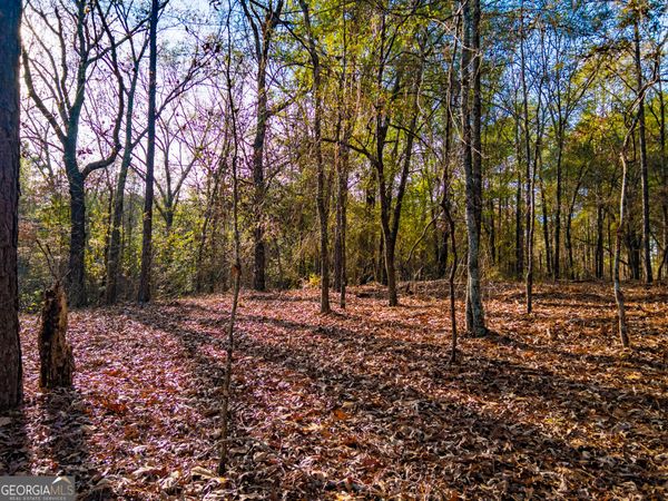 0 Roberta Highway, Butler, GA 31006