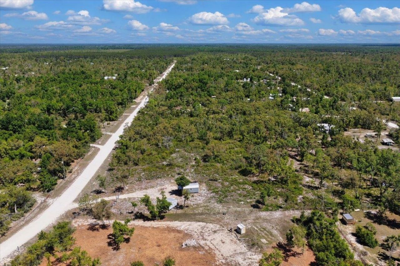 15658 Pampano Place, Keaton Beach, FL 32348 Photo