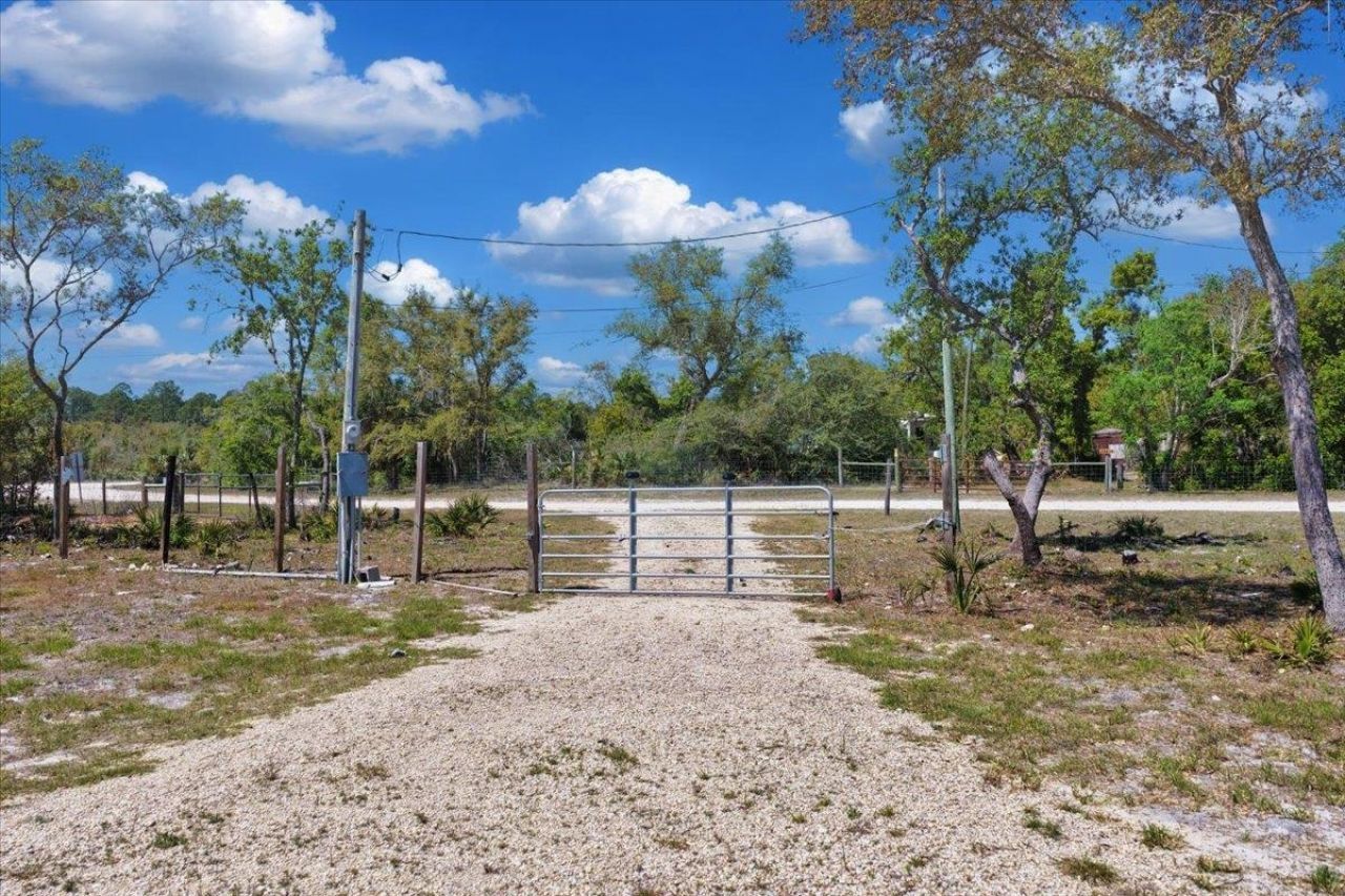 15658 Pampano Place, Keaton Beach, FL 32348 Photo