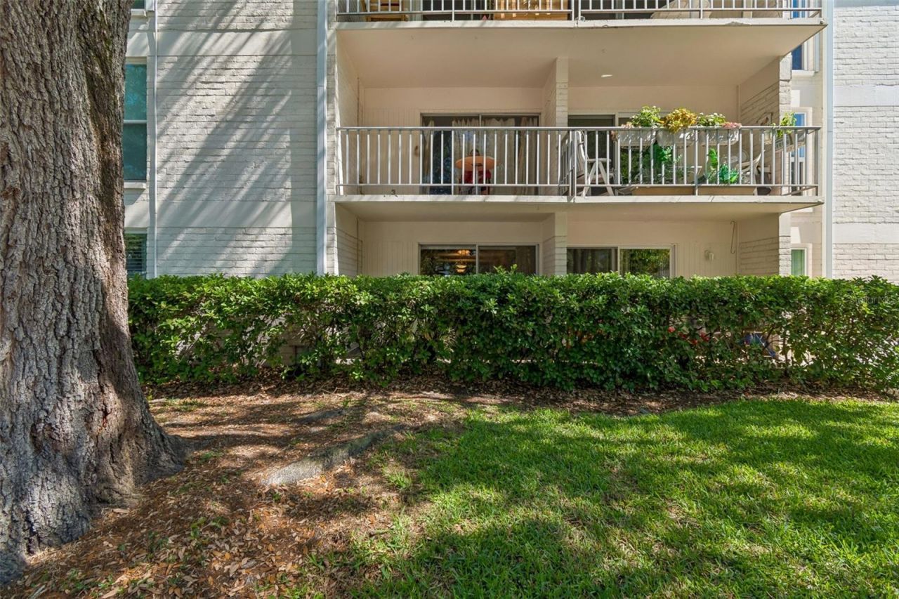 3325 Bayshore Boulevard, Unit D14, Tampa, FL 33629 Photo