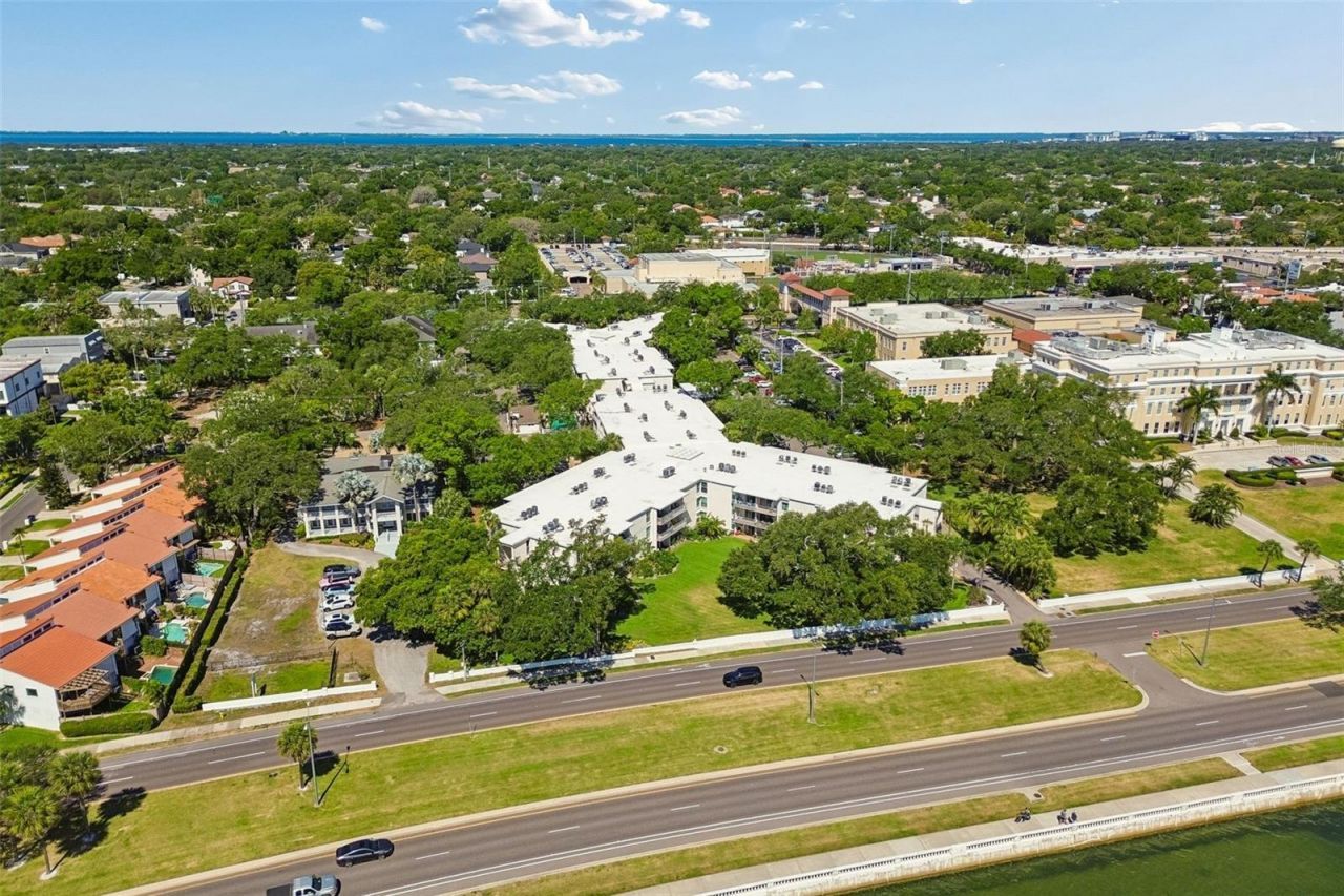 3325 Bayshore Boulevard, Unit D14, Tampa, FL 33629 Photo
