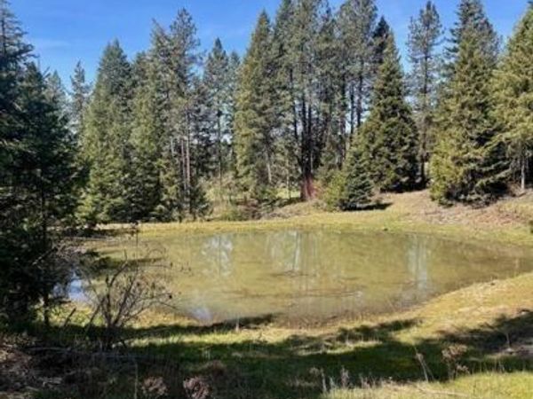 TBD Harris Ridge Rd, Kooskia, ID 83539