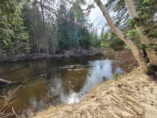 14581 N River Lane, Millersburg, MI 49759