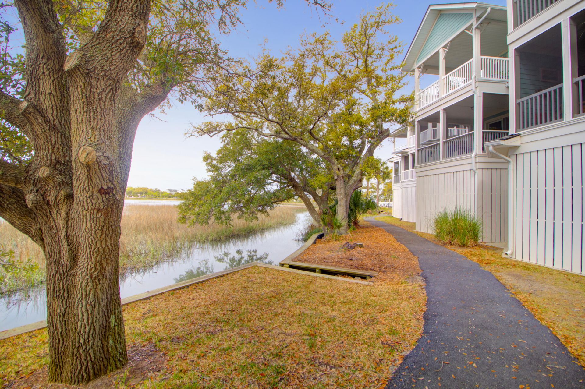 1611 Folly Creek Way Photo 39