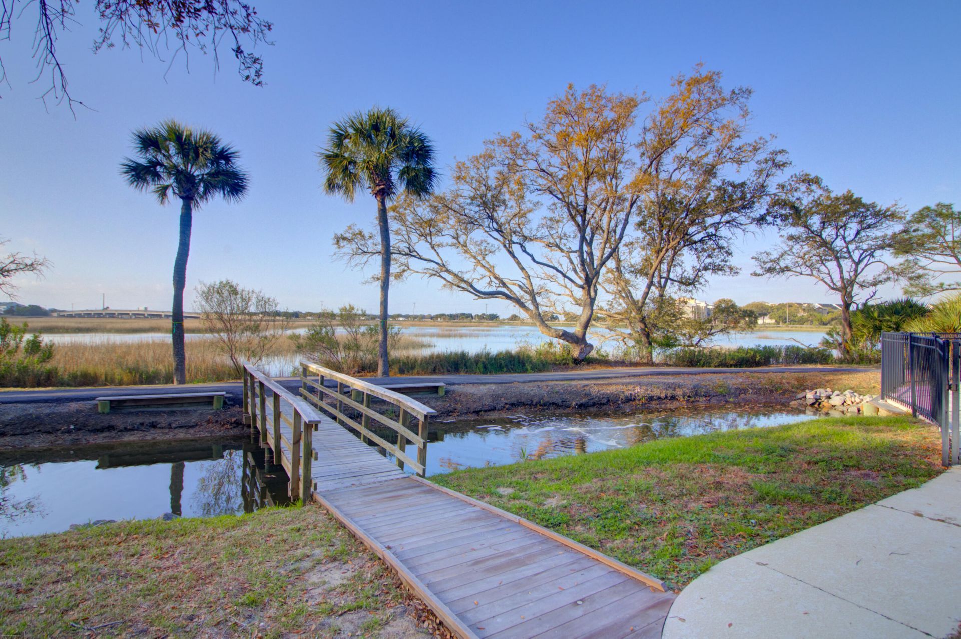 1611 Folly Creek Way Photo 51