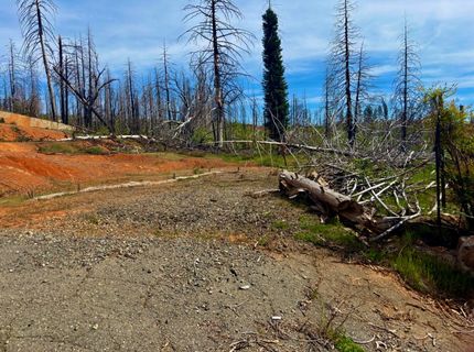 4664 String Canyon Rd, Somerset, CA 95684 Photo