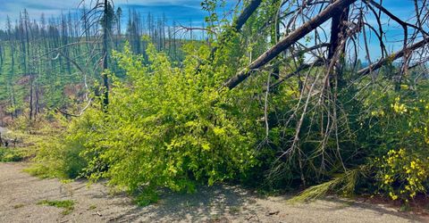 4664 String Canyon Rd, Somerset, CA 95684 Photo