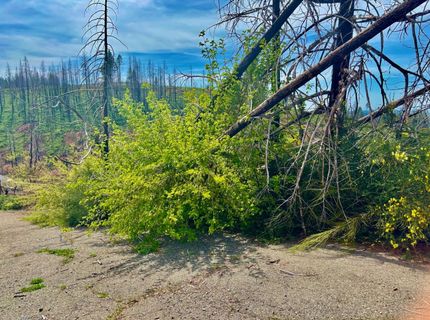 4664 String Canyon Rd, Somerset, CA 95684 Photo