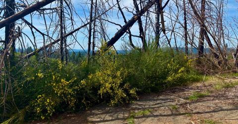 4664 String Canyon Rd, Somerset, CA 95684 Photo