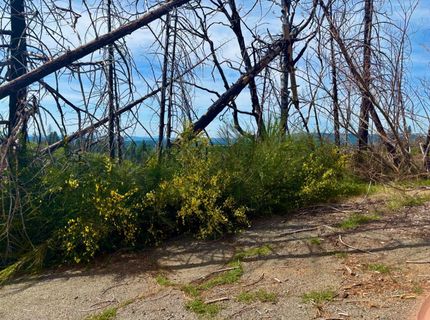 4664 String Canyon Rd, Somerset, CA 95684 Photo