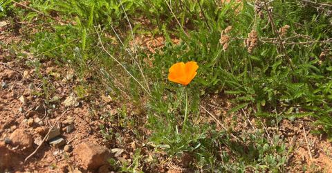 4664 String Canyon Rd, Somerset, CA 95684 Photo