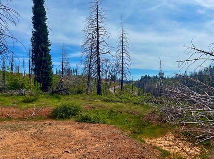 4664 String Canyon Rd, Somerset, CA 95684 Photo