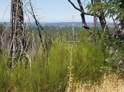 4664 String Canyon Rd, Somerset, CA 95684 Photo