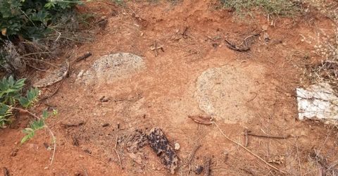 4664 String Canyon Rd, Somerset, CA 95684 Photo