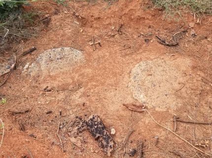 4664 String Canyon Rd, Somerset, CA 95684 Photo