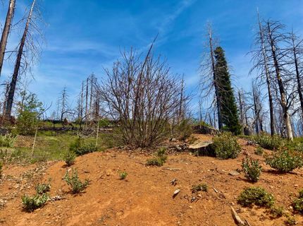 4664 String Canyon Rd, Somerset, CA 95684 Photo