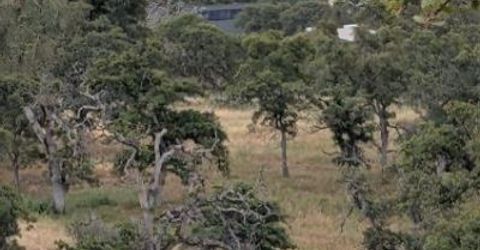 13511 Canada St, La Grange, CA 95329 Photo