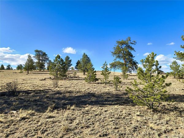 415 Olympic Circle , Hartsel, CO 80449