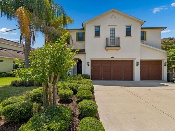 14320 AVON FARMS DRIVE , TAMPA, FL 33618