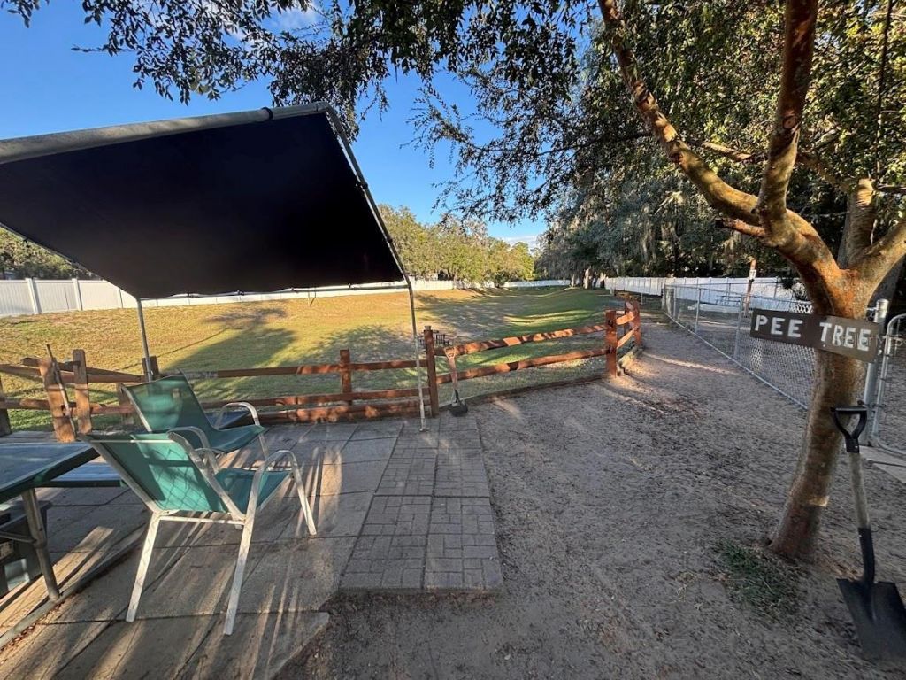 25316 140th Place Ne, Unit 335, Salt Springs, FL 32134 Photo