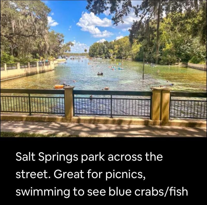 25316 140th Place Ne, Unit 335, Salt Springs, FL 32134 Photo