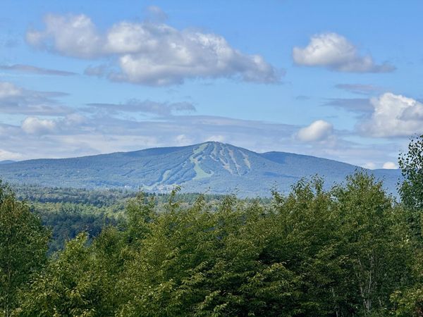59 Garden Loop Road, Winhall, VT 05340