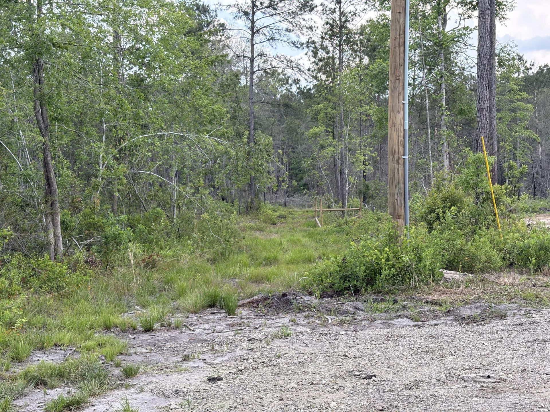130 Zone Way Photo 38