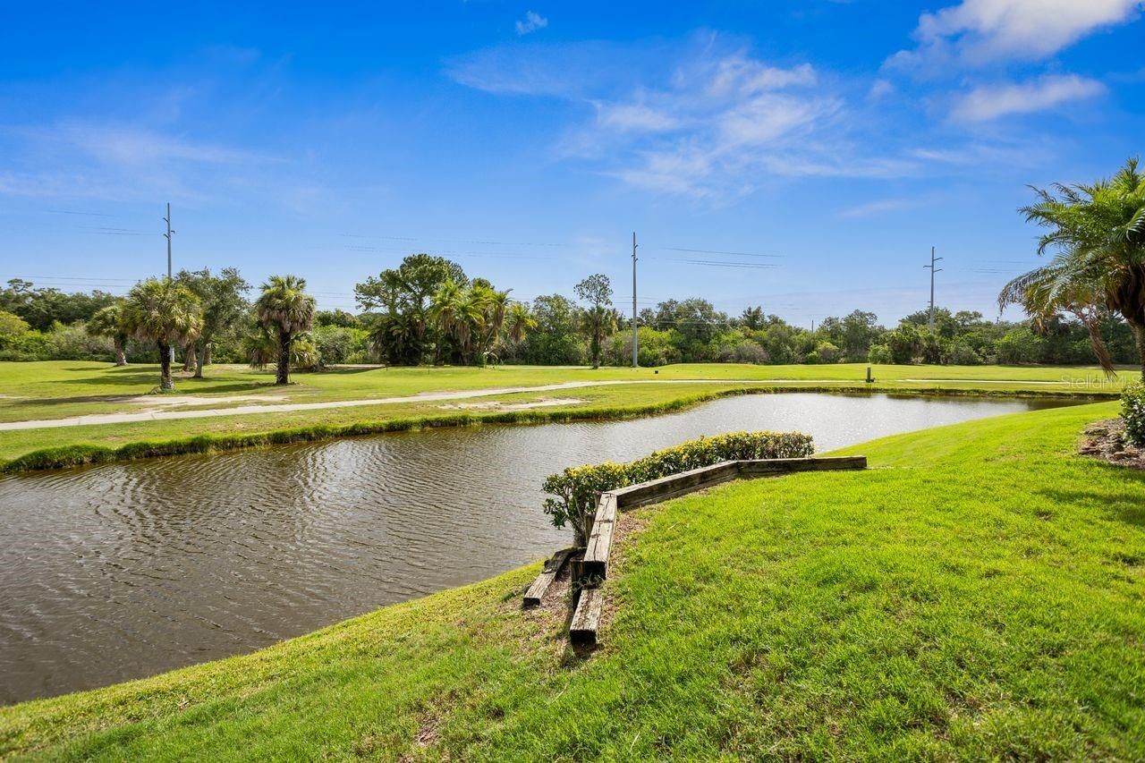 7286 Maidencane Court , Seminole, FL 33777 Photo