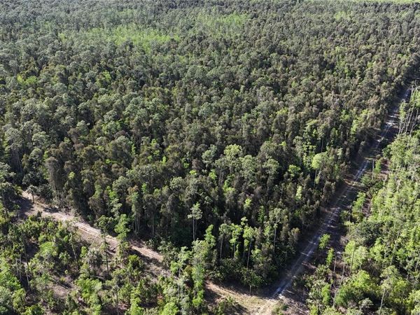 0 , NAPLES, FL 34119