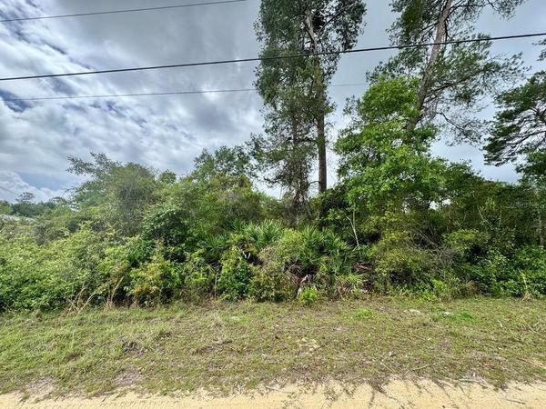 NE 134TH PLACE , SALT SPRINGS, FL 32134