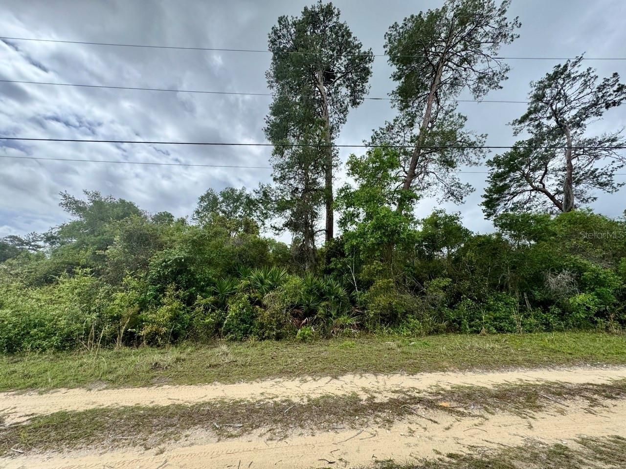 Ne 134th Place, Salt Springs, FL 32134 Photo