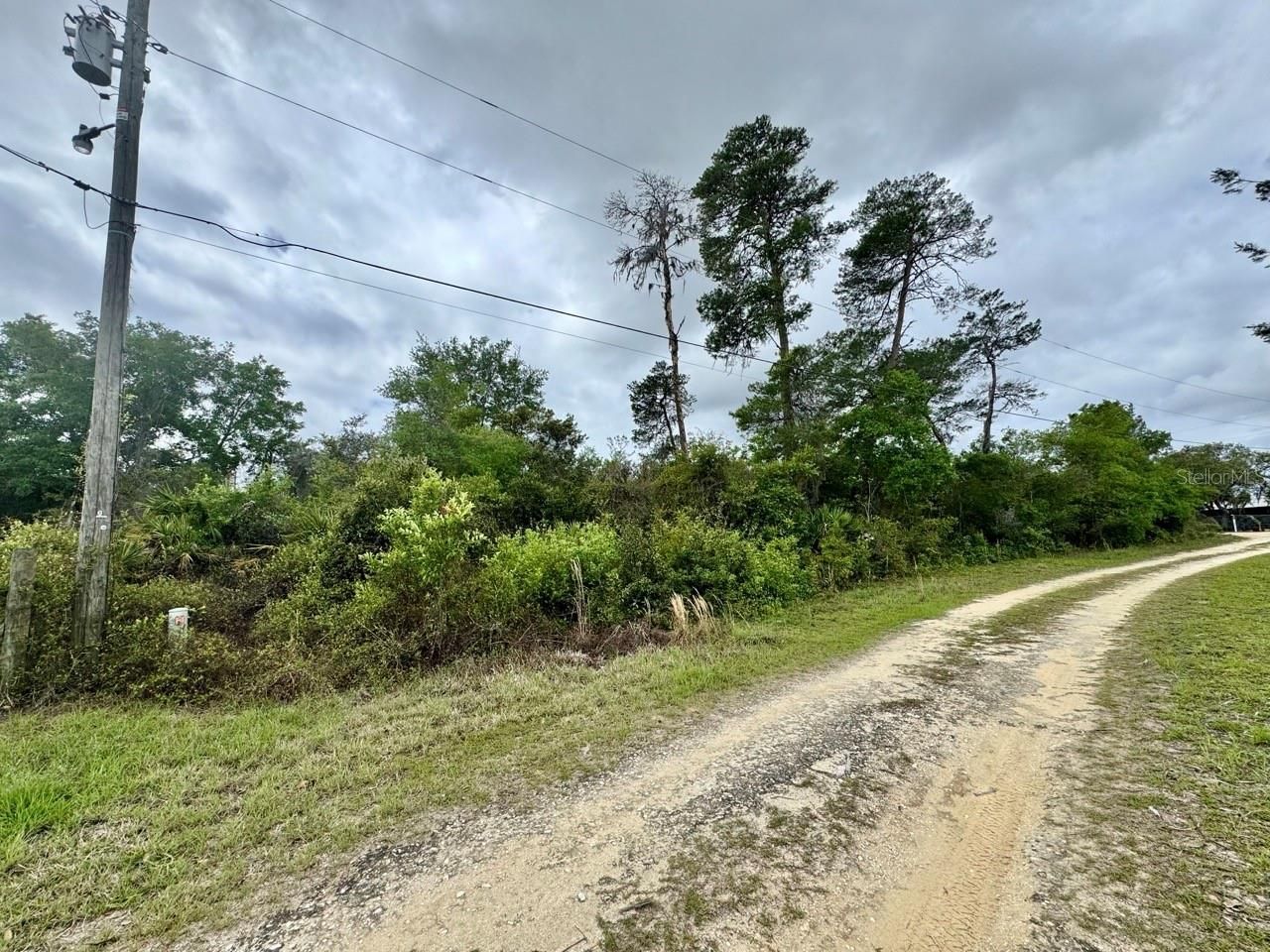 Ne 134th Place, Salt Springs, FL 32134 Photo