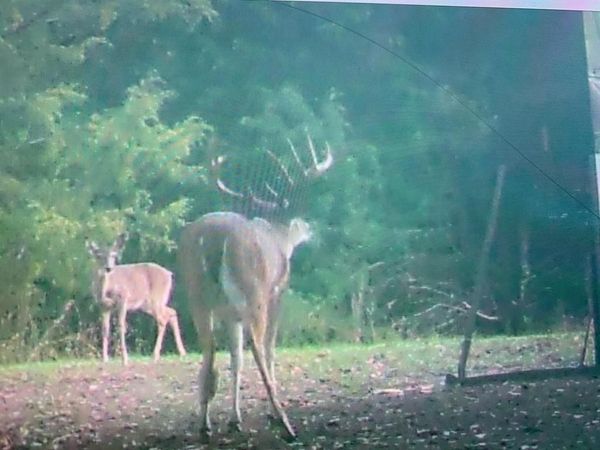 TBD PR 5825A, Groesbeck, TX 76642