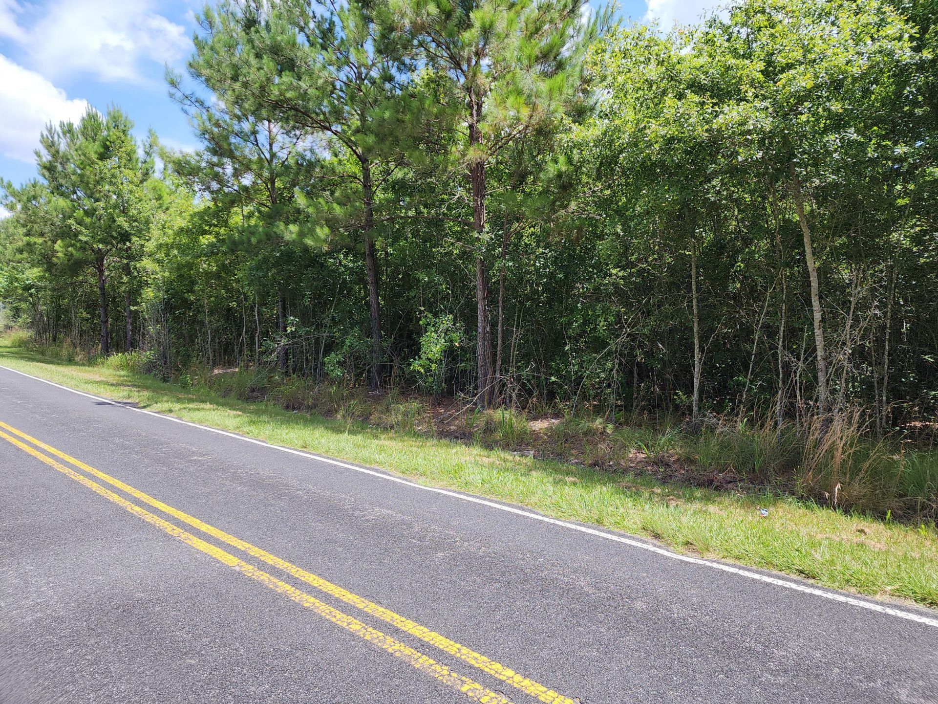 019 Thomas Kate Road Photo 13