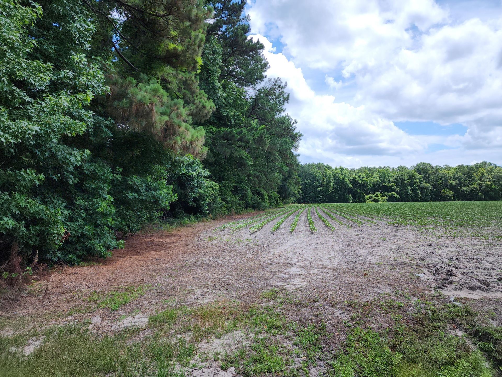 019 Thomas Kate Road Photo 15