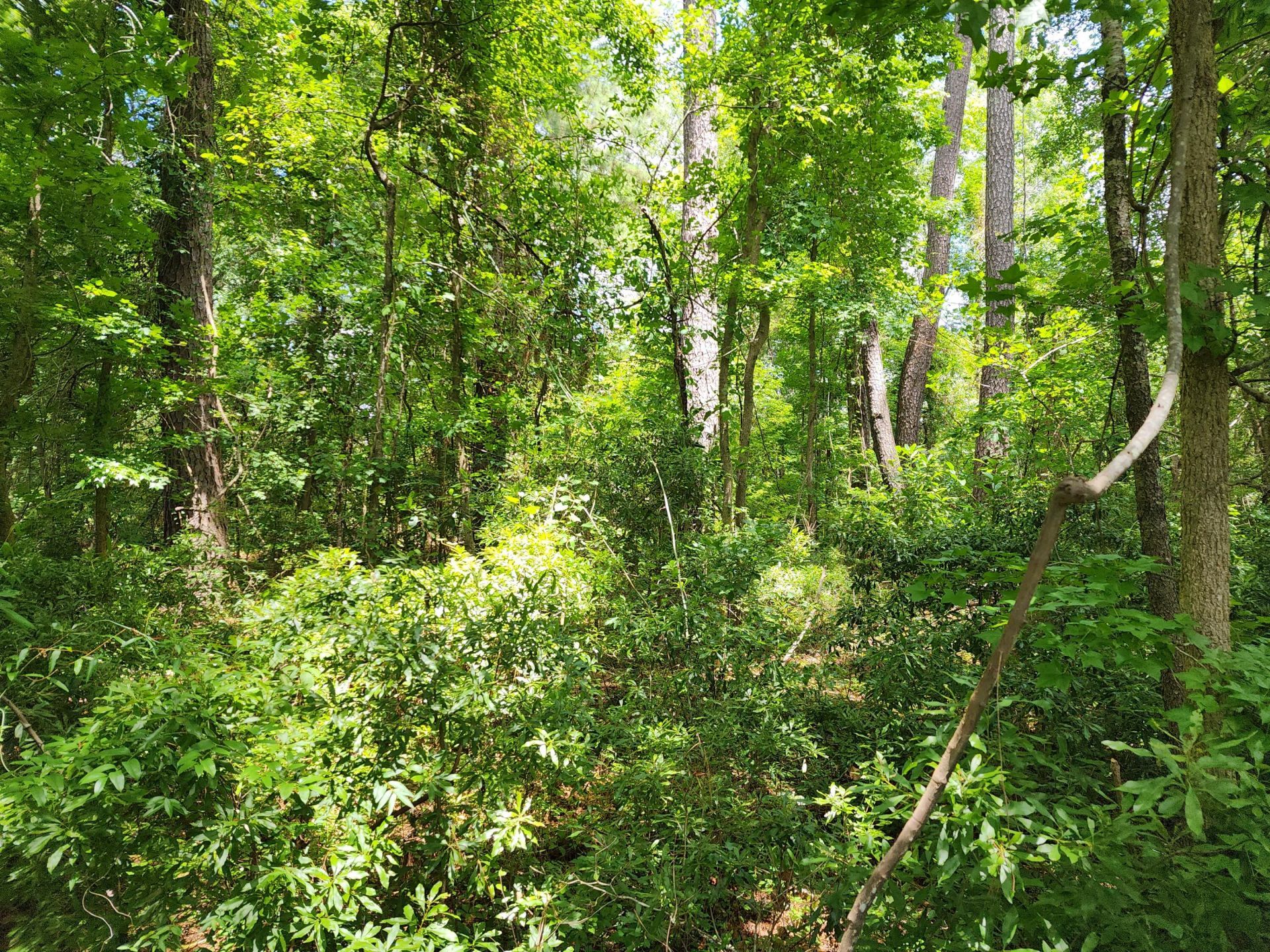 019 Thomas Kate Road Photo 16