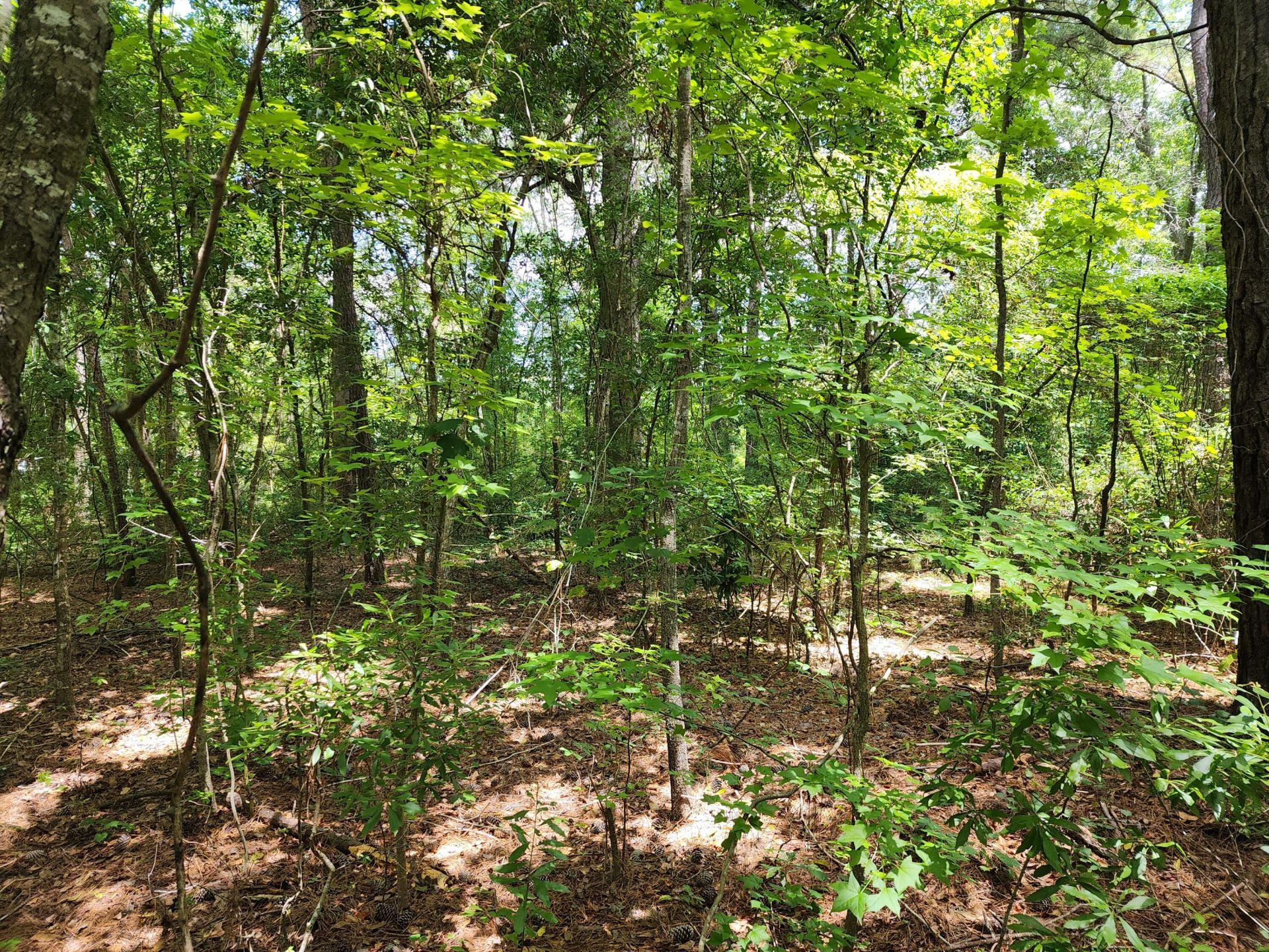019 Thomas Kate Road Photo 18