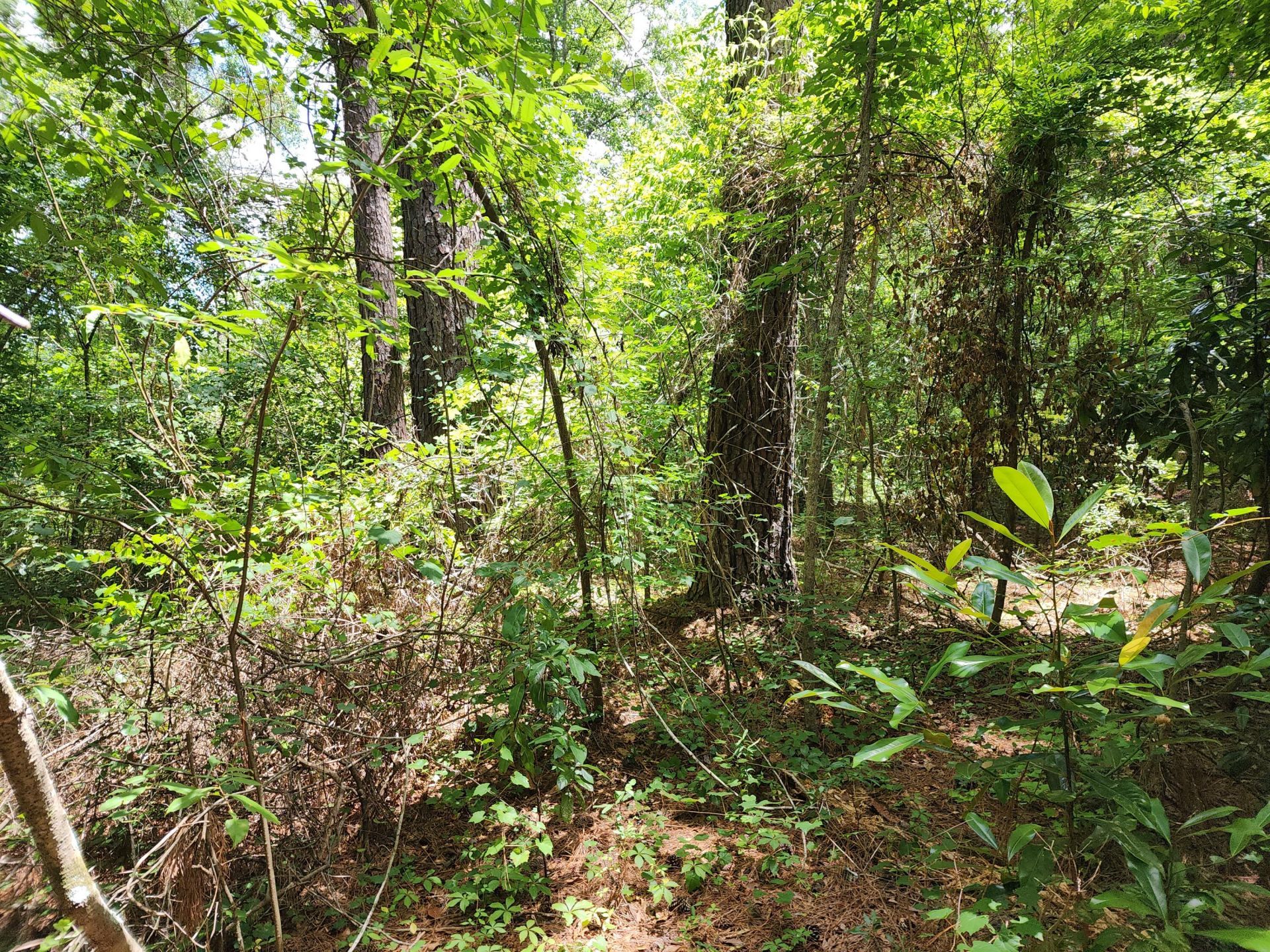 019 Thomas Kate Road Photo 20