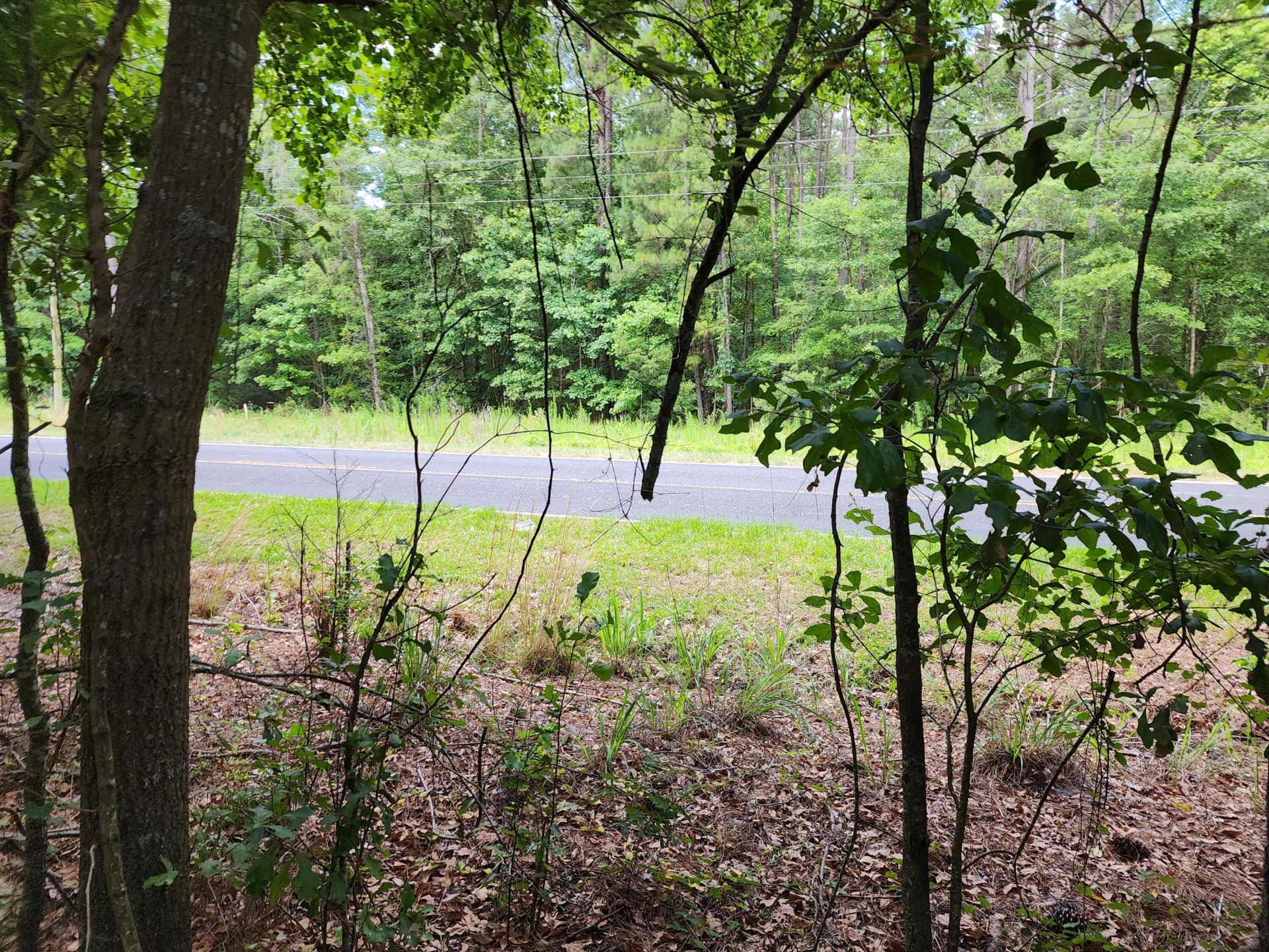 019 Thomas Kate Road Photo 23